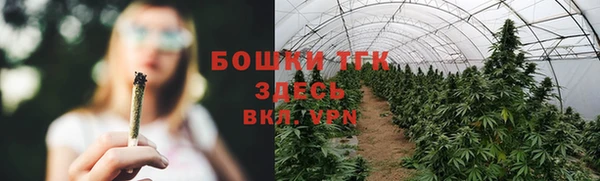 MESCALINE Инсар