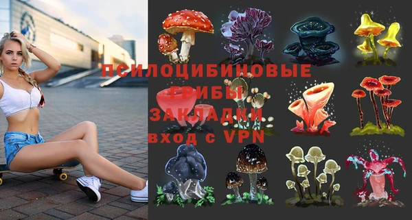 MESCALINE Инсар