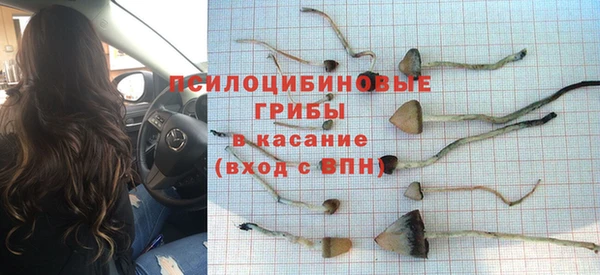 молекула духа Инта