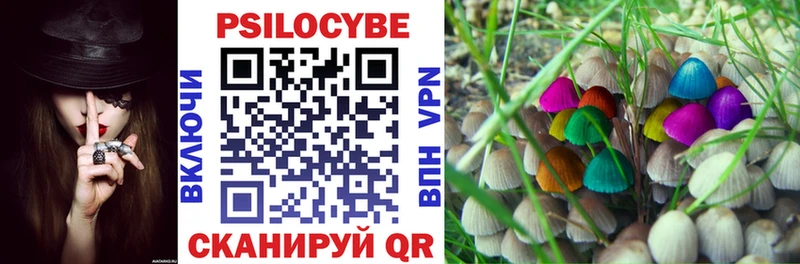 Галлюциногенные грибы Psilocybine cubensis  Купить  Дятьково 